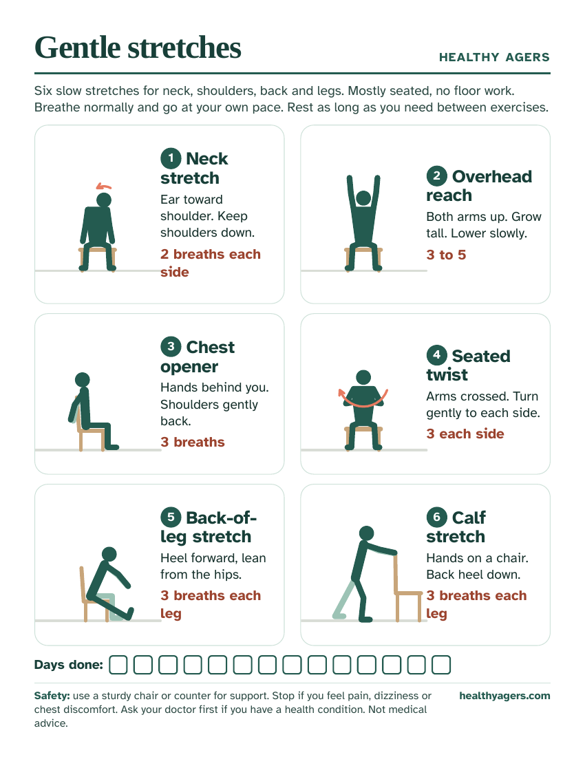Preview of the free printable gentle stretches sheet
